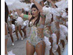 Carnaval de Mula 2014